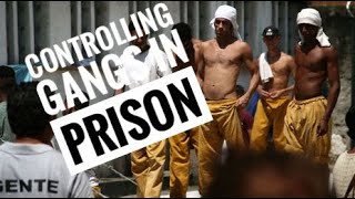 Controlling gangs in prison. Here is some good advice for our correctional officers.