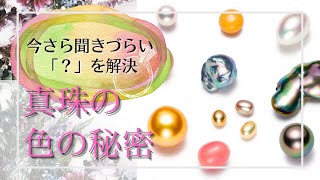 【ジュエリー基本のキ# 5】真珠の色の秘密。なぜ真珠の色は複雑で魅力的なのか？今さら聞きづらいジュエリーの「？」/ポンデュプレジール