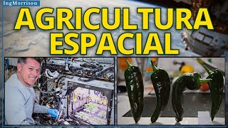 AGRICULTURA ESPACIAL en LA ESTACION ESPACIAL INTERNACIONAL EEI ALIMENTOS CULTIVADOS EN EL ESPACIO
