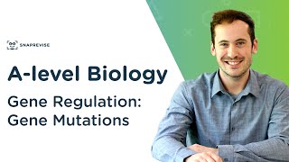 Gene Regulation: Introduction to Gene Mutations | A-level Biology | OCR, AQA, Edexcel