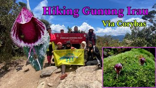 Hiking Gunung Irau Via Corybas | Dayhike | Merdeka 2023