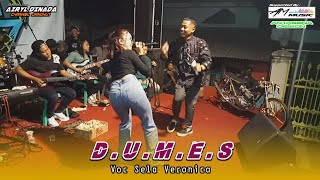 DUMES | SELLA VERONIKA - BM MUSIC Ft AM AUDIO Live Kejambon Jombang 2023