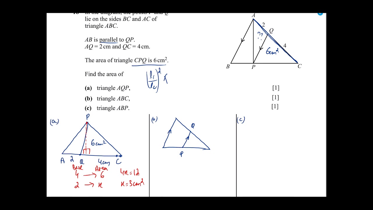 Difference Between Similar And Congruent Shapes Veryfin
