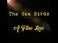 The Sea Birds - A Fine Line (Official Video) // Headstone Records