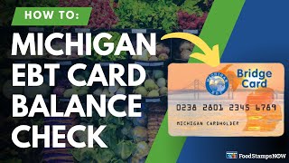 Michigan EBT Balance Check Instructions