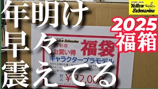 【プラモデル福袋】イエローサブマリン２０２５最初の運試し！福袋開封だ！イエローサブマリンの福袋をぜ～んぶ見せちゃいます！#プラモデル #プラモデル福袋#福袋