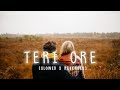Teri Ore | Lo-fi | Slowed X Reverbed | LofiChillOut