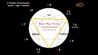 Las Emociones en cada Eneatipo