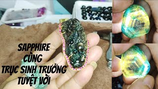 Đá quý và trục sinh trưởng tuyệt vời của chúng