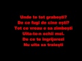 Iuliana Beregoi - Vina mea. Lyrics / Versuri