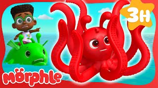What Did Orphle the Shark Say When He Saw Morphle the Octopus? - Oh, Crab! | Morphle Kids Cartoons