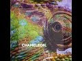Boris Brejcha - Chameleon (Original Mix)