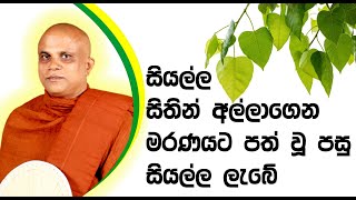 පුජ්‍ය වලස්මුල්ලේ ගුණරතන ස්වාමීන්ද්‍රයන් වහන්සේ (walasmulle Gunarathana Thero)