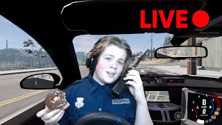 BeamNG but your on a police ride along (LIVE!)