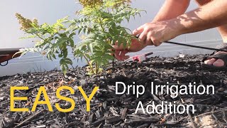 How to Install a New Drip Line to an Existing Drip Irrigation System.