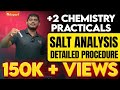 Plus Two Chemistry Practicals | Salt Analysis | Detailed Procedure Including Experiment | Plus Two