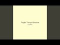 Fragile Tranquil Shadow