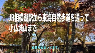 JR相模湖駅から東海自然歩道を通って小仏城山に登りました。