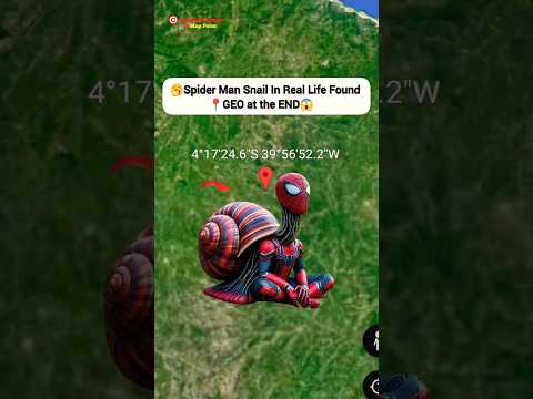 Caracol de Spider-Man en la vida real encontrado en Google Map y Earth #shorts #mappoint