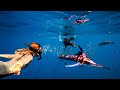 Free Diving Mexico’s Most Insane Ocean Event - The Sardine Run