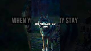 When You're Angry Stay Silent - Motivational Quote - Lone wolf motivation #sigmarule #quotes