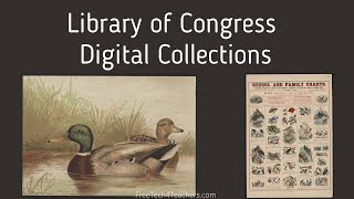 Library of Congress Digital Collections - A Short Overview
