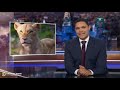 Eye on Australia Animals, Ronny Chieng, and Mandatory Voting  The Daily Show