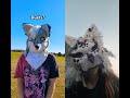 @Taff@Taffy-H. #collab #furry #furries #mask #furrymask #art #duet