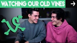 Watching Our Old Vines!