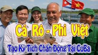 Cuban Minister Moved by Vietnamese People: Tilapia Reverses the Situation of Shortage!
