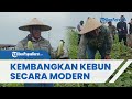 Siap Kembangkan Kebun Modern Kebun Secara Modern, Paulus Waterpauw: Harus Jadi Pemasok BP Tangguh