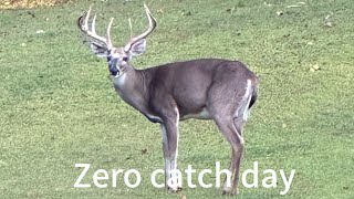 Zero catch day