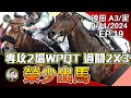 【賽馬貼士】榮少出馬 │精選2場重心貼士 │ WPQT過關2X3 │《2024年11月9日》24-25賽季 EP19  #榮少 #沙田  #騎練 #賽馬任我行