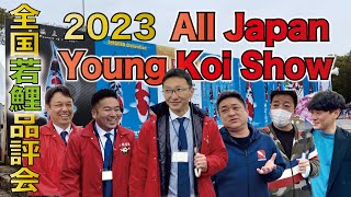 Eng Sub! World Champion Koi in the world. Interviews with many famous breeders!