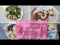 How to treat Autoimmune Disease  | What I ate AIP Days 16 -18