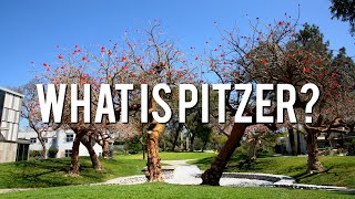 What Is Pitzer?