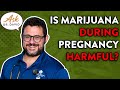 Is Marijuana Use During Pregnancy Harmful? | Ask Dr David