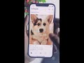 New Instagram Features || Will these features blow your mind?? 🤯🤔 - YouTube Shorts #shorts