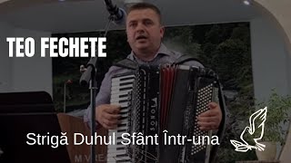 Strigă Duhul Sfânt întruna - Teo Fechete / NOU 2022