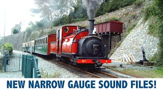 Brand new DCC Narrow gauge steam sound projects from Digitrains