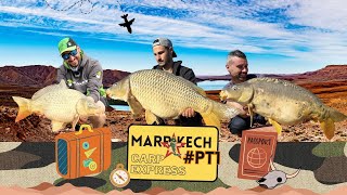 Marrakech Carpexpress PT1