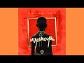 DJ Maphorisa & Xduppy - Vulindlela (Official Audio) feat. Luu Nineleven & 18 Teen RSA
