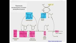 Лекция 8 Физ раст и удобрения