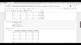 Prediction using Unsupervised Machine Learning
