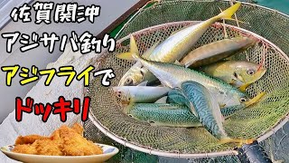 ［漁師］アジ．サバ釣りからのアジフライでドッキリ！