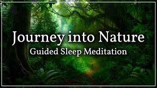 Guided Sleep Meditation: Forest Walk - For Falling Asleep & Relaxation