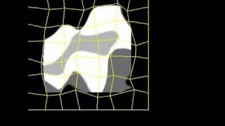 ffd recursive test ffd.static/fun