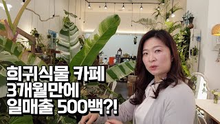 희귀식물이 좋아 식물카페 차린 여사장님. 창업 3개월만에 일매출 500만원?!