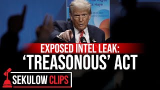Exposed Intel Leak Treasonous Act
