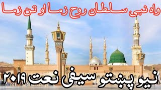 Saifi Pashto Naat || واہ نبی سلطان روح زما او تن زما || نیو پښتو نعت